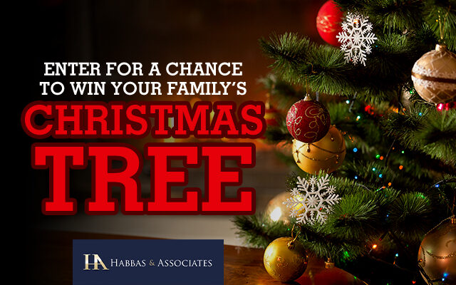 Win a LIVE Holiday Tree This Year for your Family