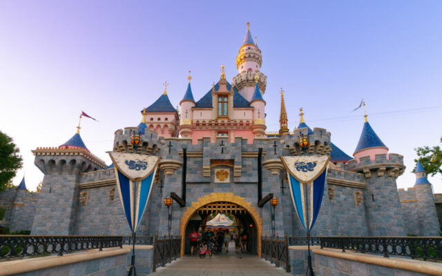 Man Sets Record By Going To Disneyland 2,995 Consecutive Days