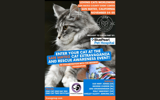 <h1 class="tribe-events-single-event-title">The San Mateo Cat Extravaganza & Rescue Awareness Event</h1>